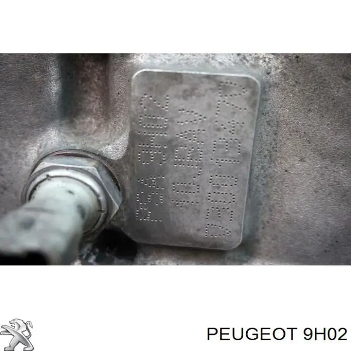 9H02 Peugeot/Citroen Bloque de cilindros del motor