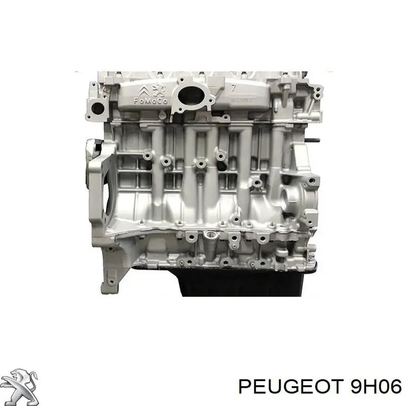 9H06 Peugeot/Citroen Motor completo