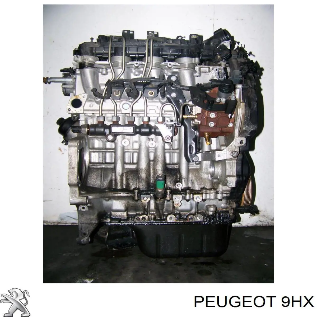 Motor completo Peugeot/Citroen 9HX precio, desde 1224,04 EUR