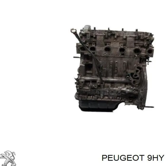 Motor completo 9HY Peugeot/Citroen