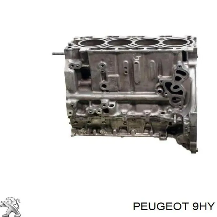 Motor completo para Peugeot 407 (6D)