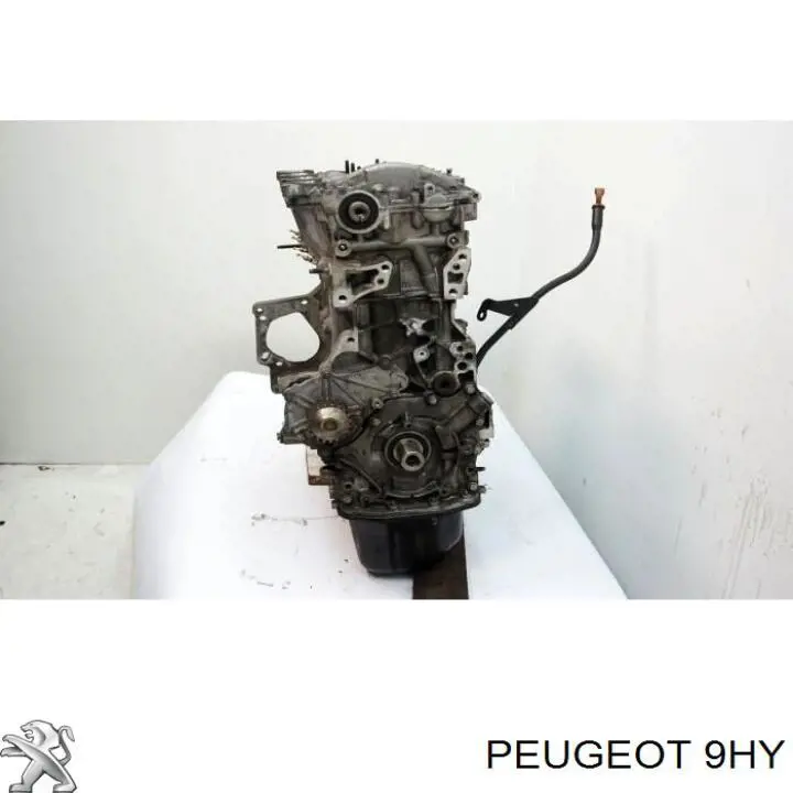 9HY Peugeot/Citroen Motor completo