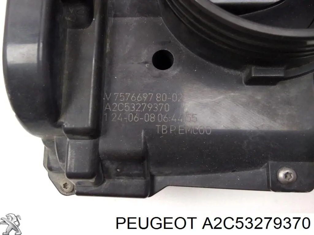 A2C53279370 Peugeot/Citroen 