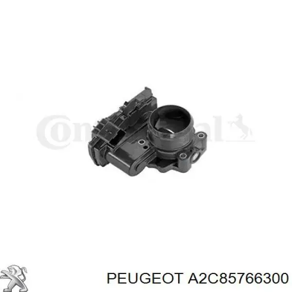 A2C85766300 Peugeot/Citroen 