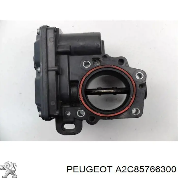  A2C85766300 Peugeot/Citroen