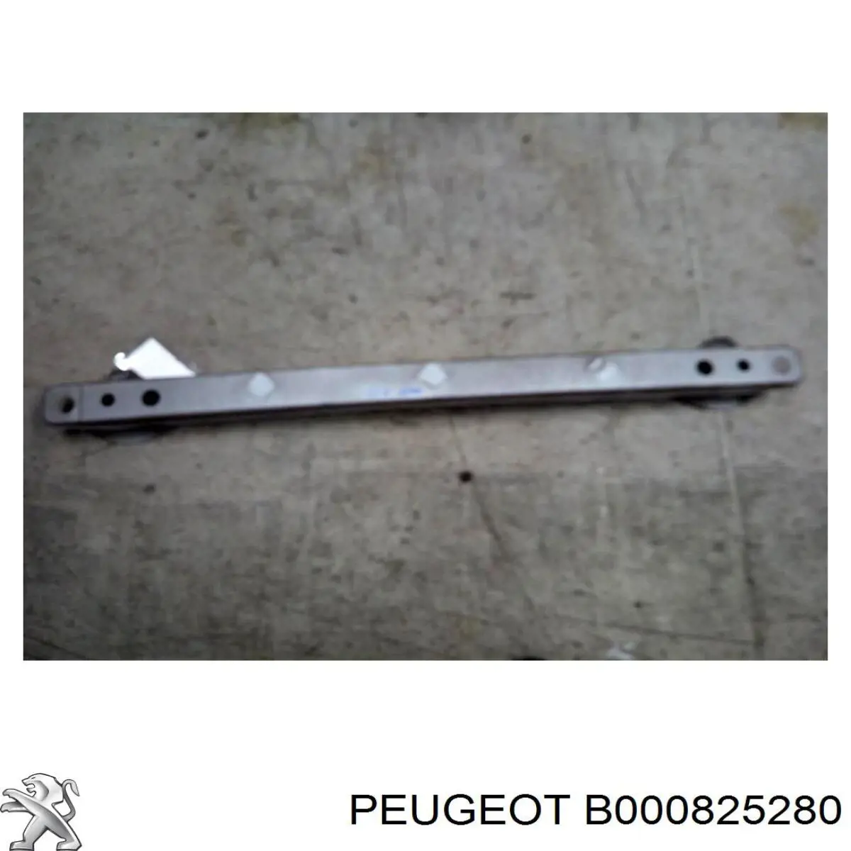 B000825280 Peugeot/Citroen 