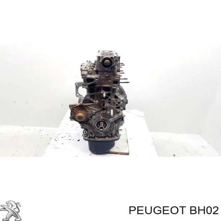 Motor completo 9HC Peugeot/Citroen