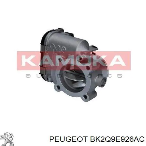 Cuerpo de aceleración completo Peugeot/Citroen BK2Q9E926AC precio, desde 75,50 EUR