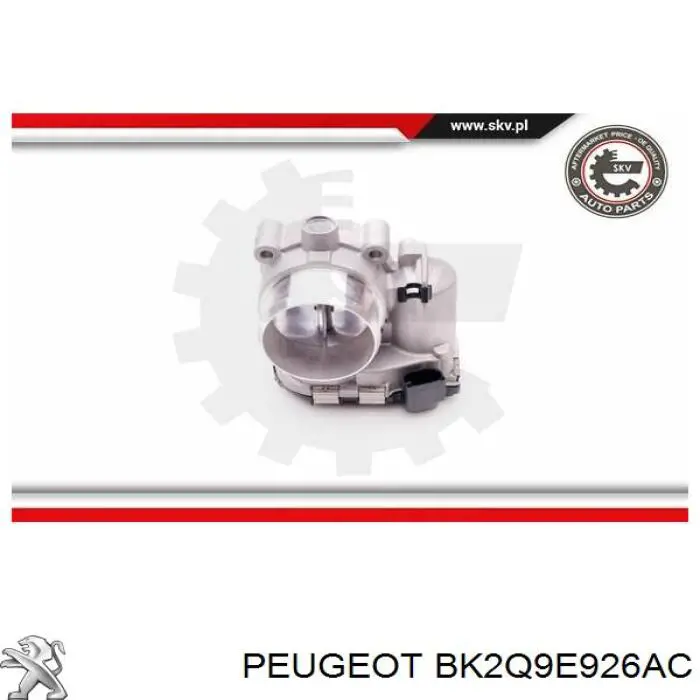 Comprar BK2Q9E926AC Peugeot/Citroen Cuerpo de mariposa