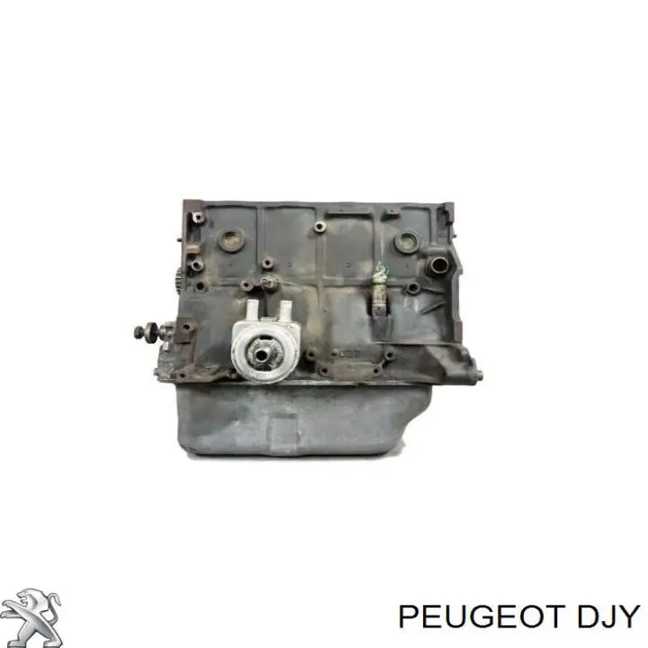 DJY Peugeot/Citroen Motor completo