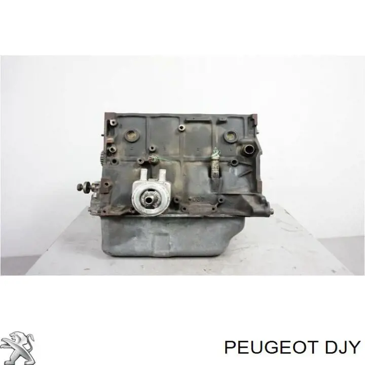 Motor completo Peugeot/Citroen DJY precio, desde 817,48 EUR