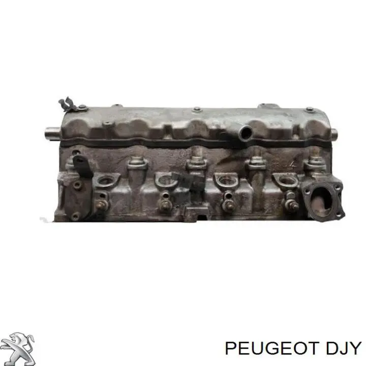 DJY Peugeot/Citroen motor completo