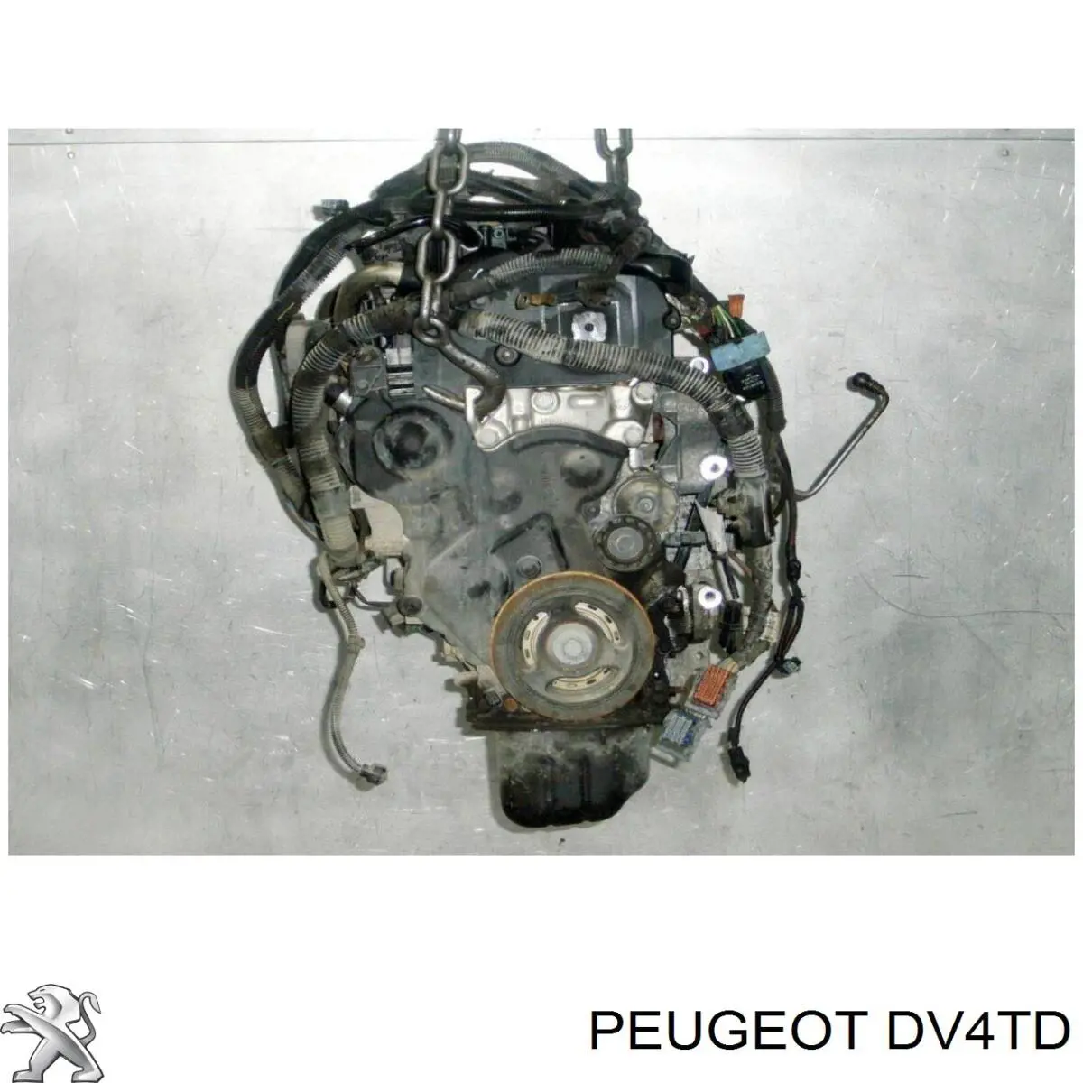 Comprar 8HZDV4TD Peugeot/Citroen Motor completo