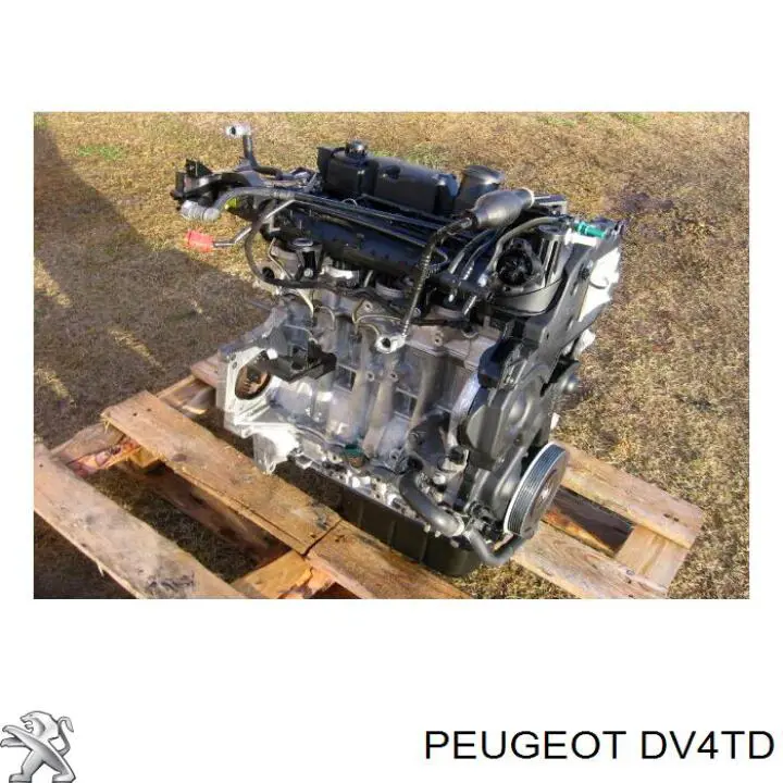 Motor completo 8HZDV4TD Peugeot/Citroen
