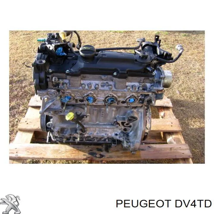 Comprar Motor completo Citroen C3 II A51