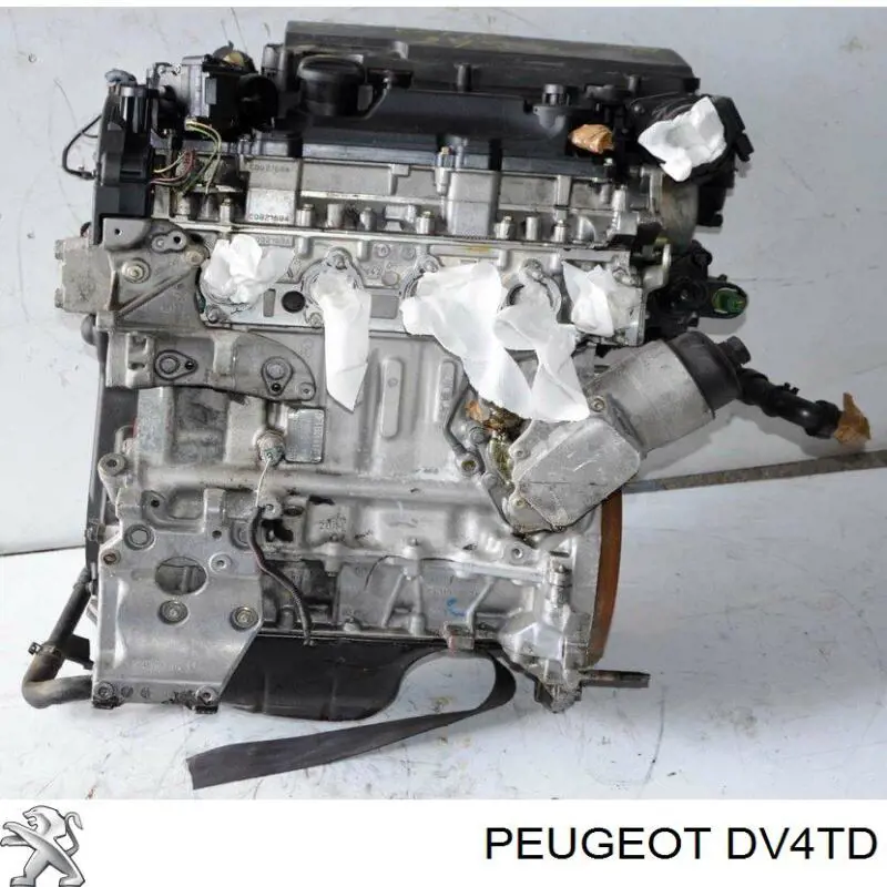 DV4TD Peugeot/Citroen motor completo