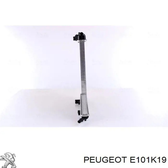 Água radiador Peugeot/Citroen E101K19 precio, desde 40,85 EUR