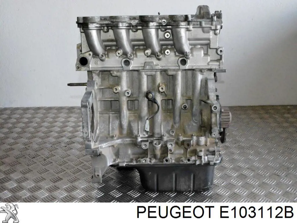 Comprar E103112B Peugeot/Citroen 