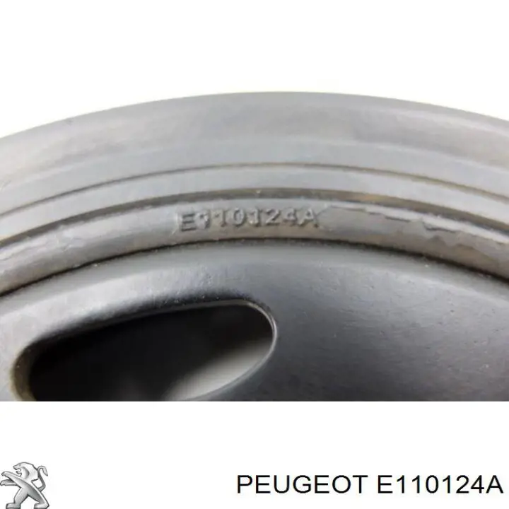 E110124A Peugeot/Citroen