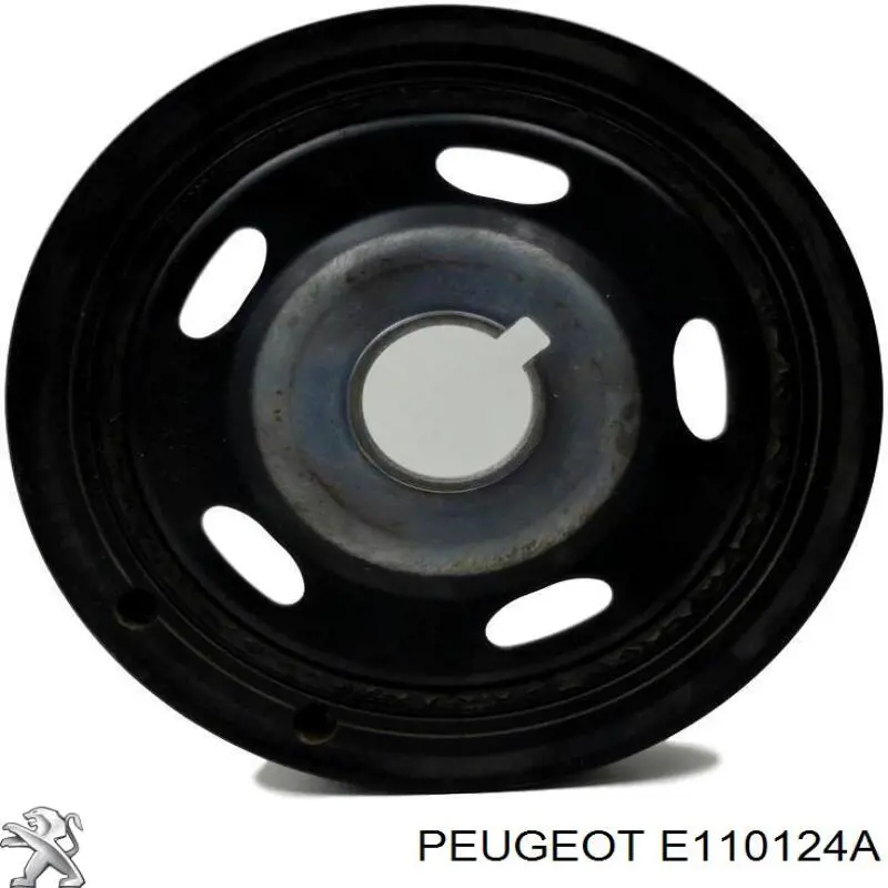  Peugeot/Citroen E110124A precio, desde 39,70 EUR