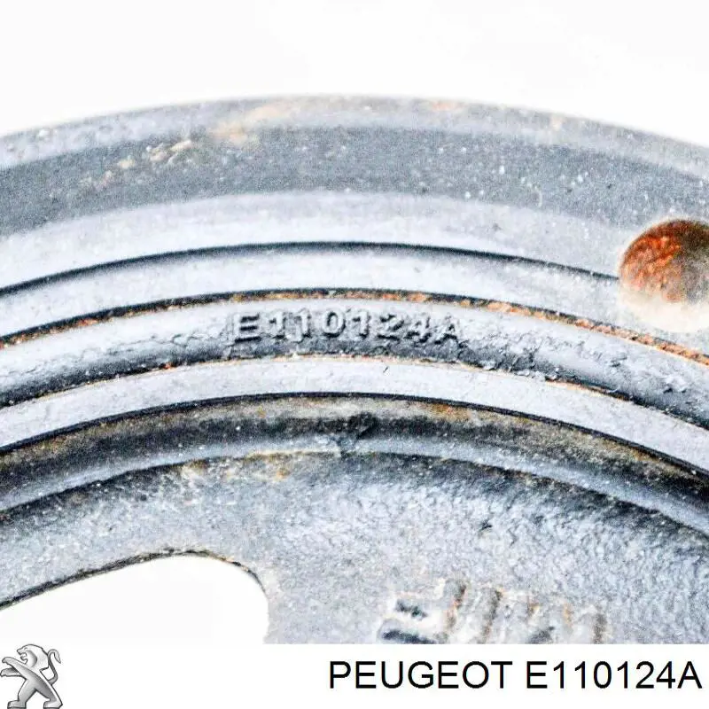 E110124A Peugeot/Citroen 