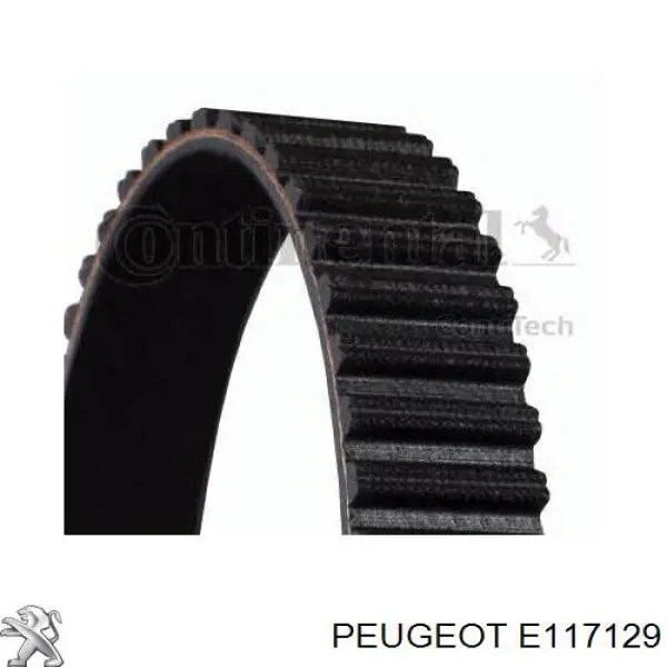 Correa distribucion Ford Fiesta JH, JD