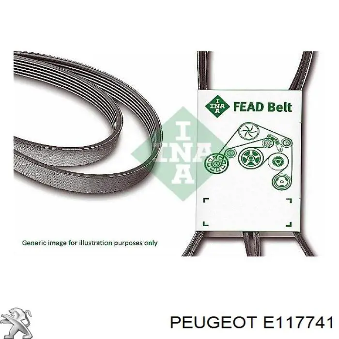 Correa de transmisión trapezoidal Peugeot/Citroen E117741 precio, desde 27,09 EUR