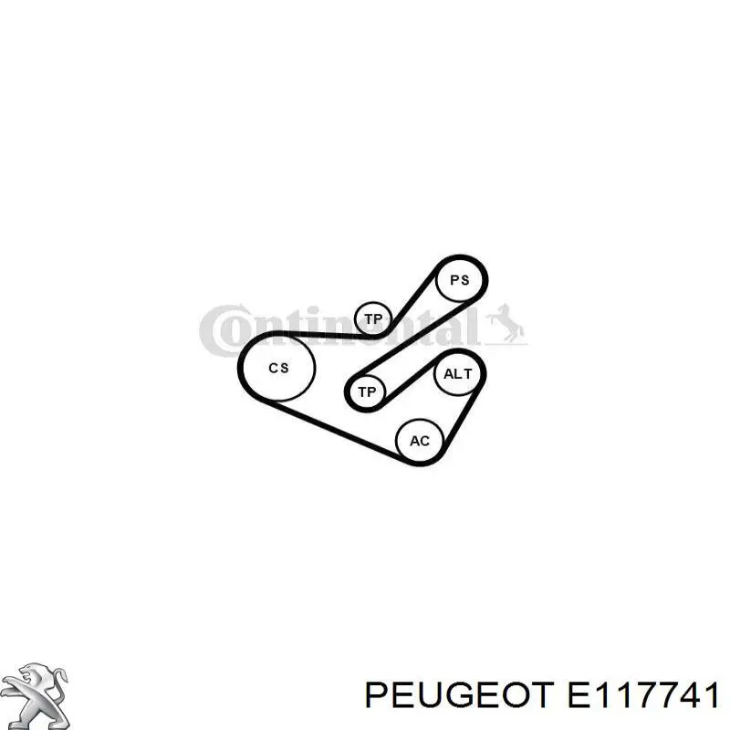 Comprar E117741 Peugeot/Citroen Correa trapezoidal