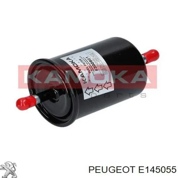E145055 Peugeot/Citroen filtro combustible