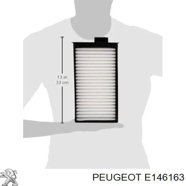 E146163 Peugeot/Citroen filtro habitáculo
