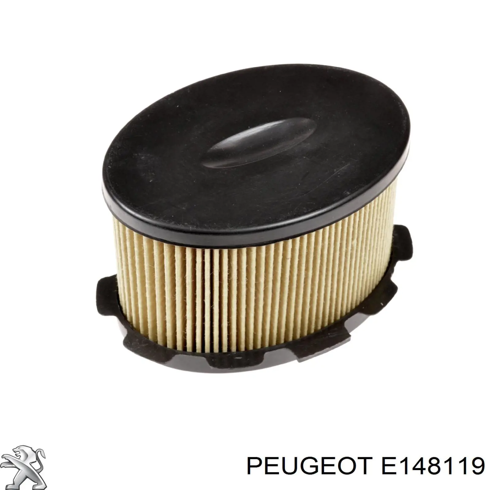 Filtro combustible Peugeot/Citroen E148119 precio, desde 4,94 EUR
