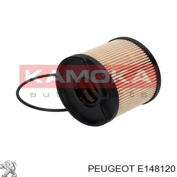 E148120 Peugeot/Citroen Filtro de gasolina