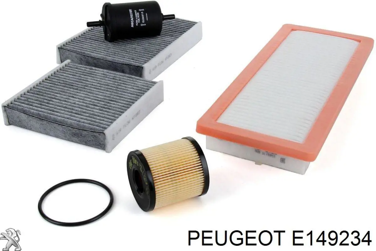 Filtro de aceite motor Peugeot/Citroen E149234