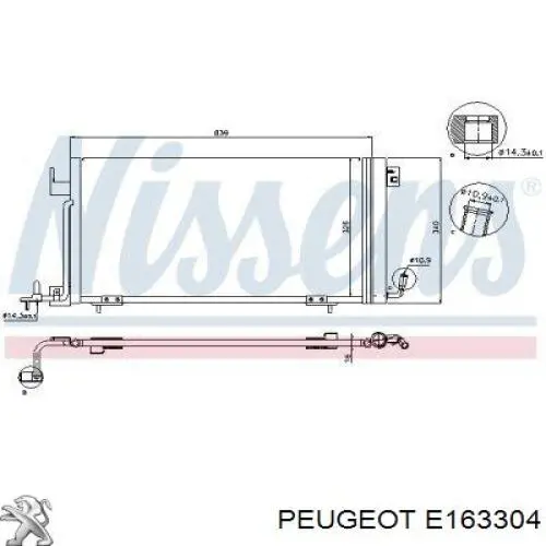 E163304 Peugeot/Citroen