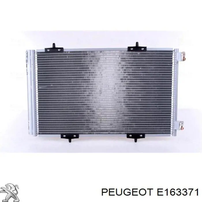E163371 Peugeot/Citroen