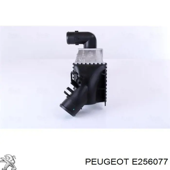 Intercooler E256077 Peugeot/Citroen