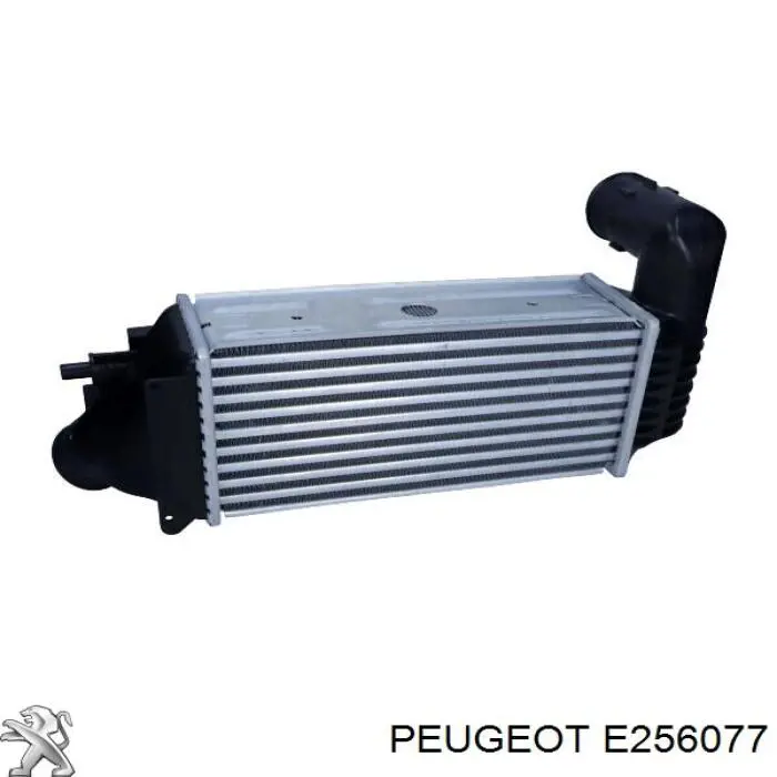 Radiador de aire de admisión Peugeot/Citroen E256077 precio, desde 38,57 EUR