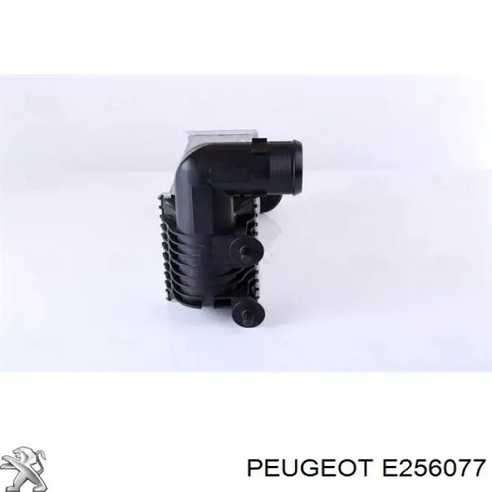 Comprar E256077 Peugeot/Citroen Turbo intercooler