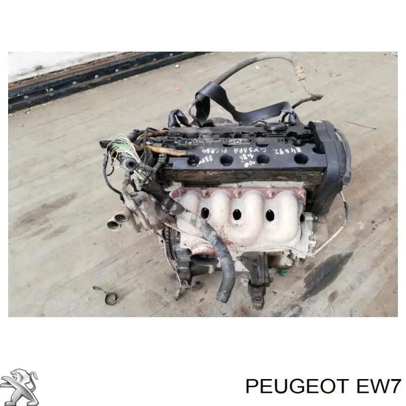 Comprar 6FZ Peugeot/Citroen Motor completo