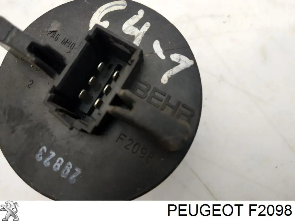 F2098 Peugeot/Citroen 