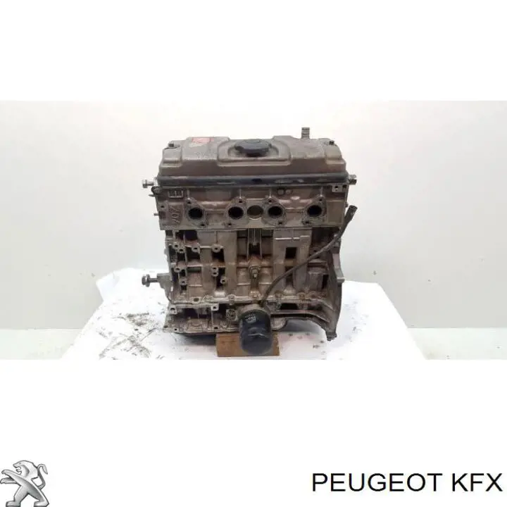 KFX Peugeot/Citroen Motor completo