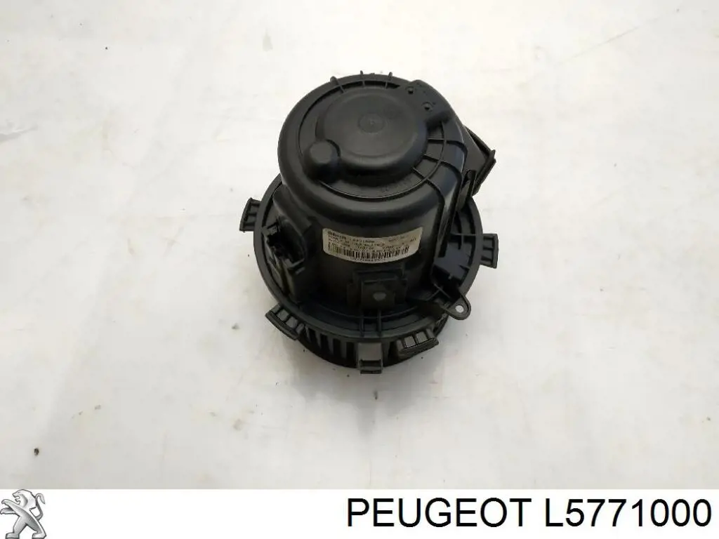  L5771000 Peugeot/Citroen