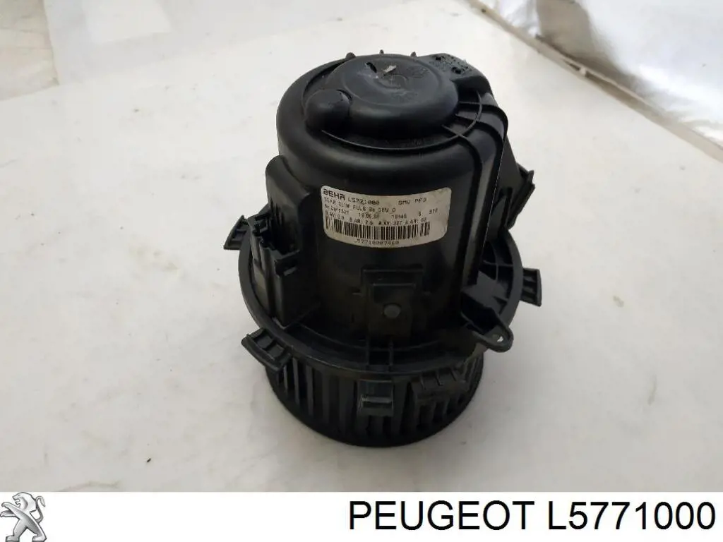  Peugeot/Citroen L5771000 precio, desde 59,53 EUR
