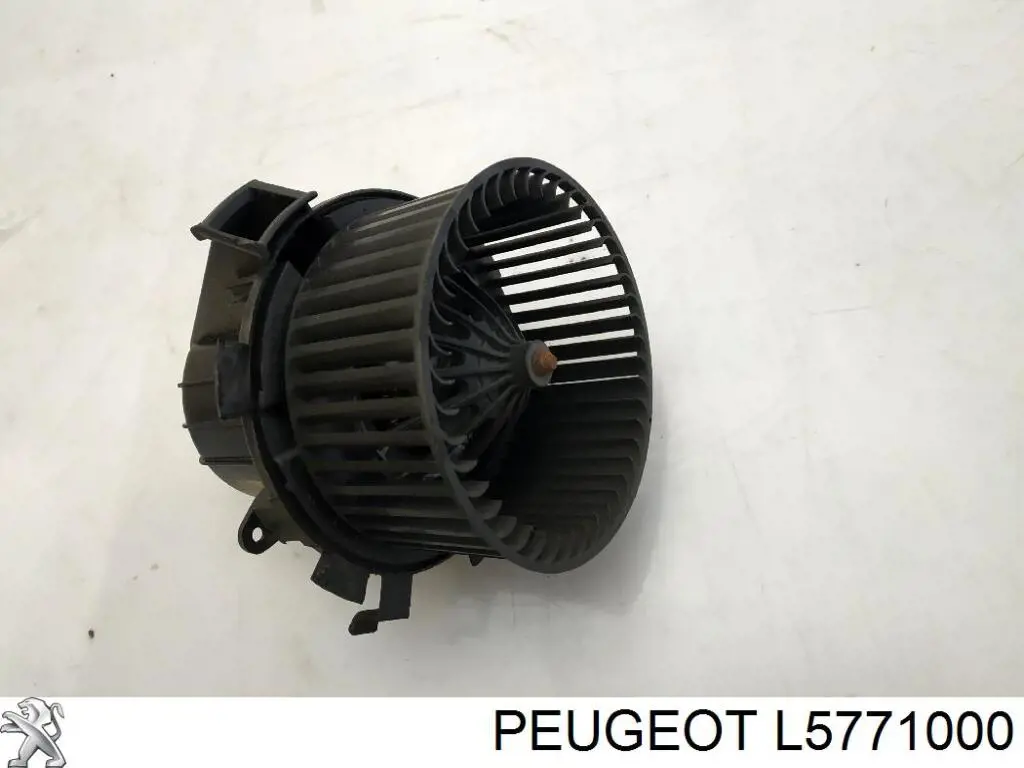 Comprar L5771000 Peugeot/Citroen 