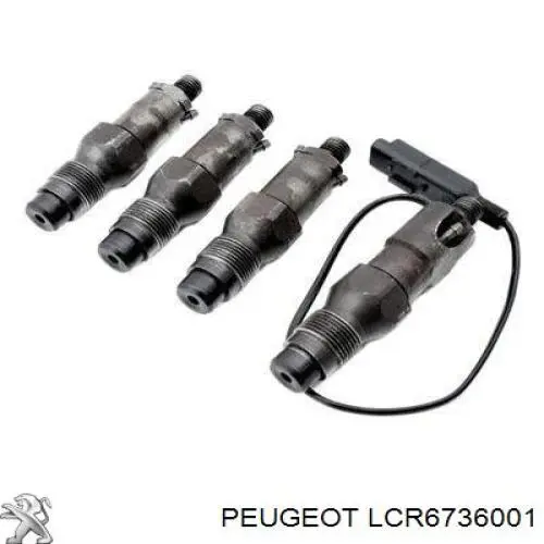 Inyectores Peugeot Expert 223