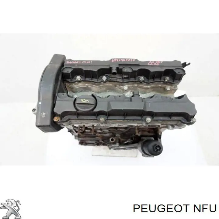NFU Peugeot/Citroen motor completo