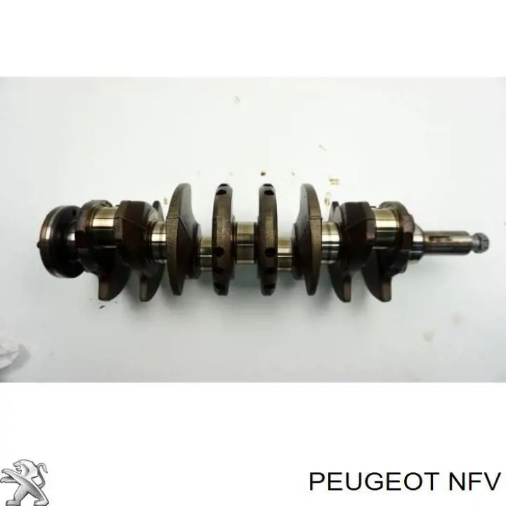 NFV Peugeot/Citroen motor completo