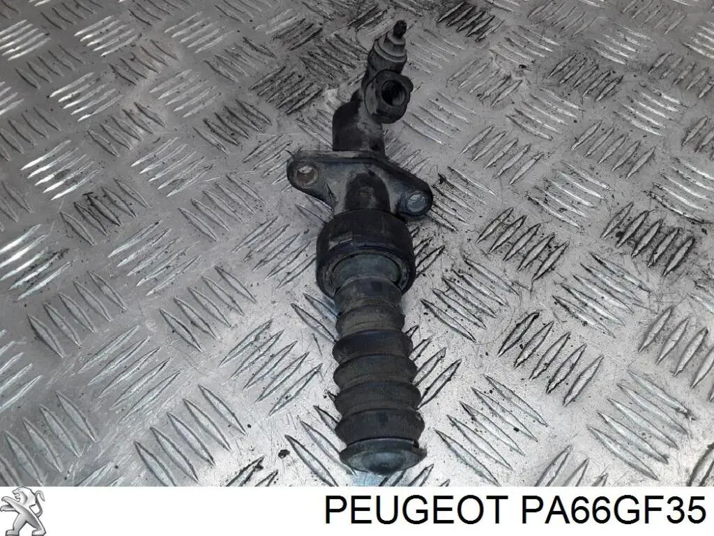 PA66GF35 Peugeot/Citroen