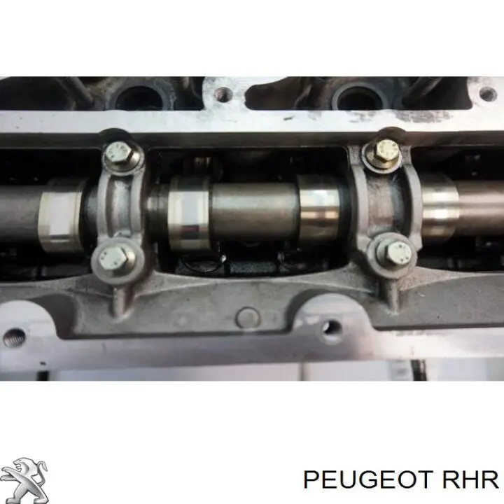 Motor completo para Peugeot Expert (VF)