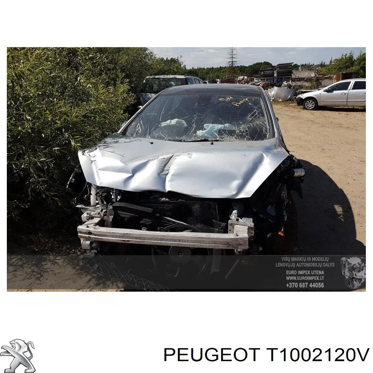 Comprar T1002120V Peugeot/Citroen 